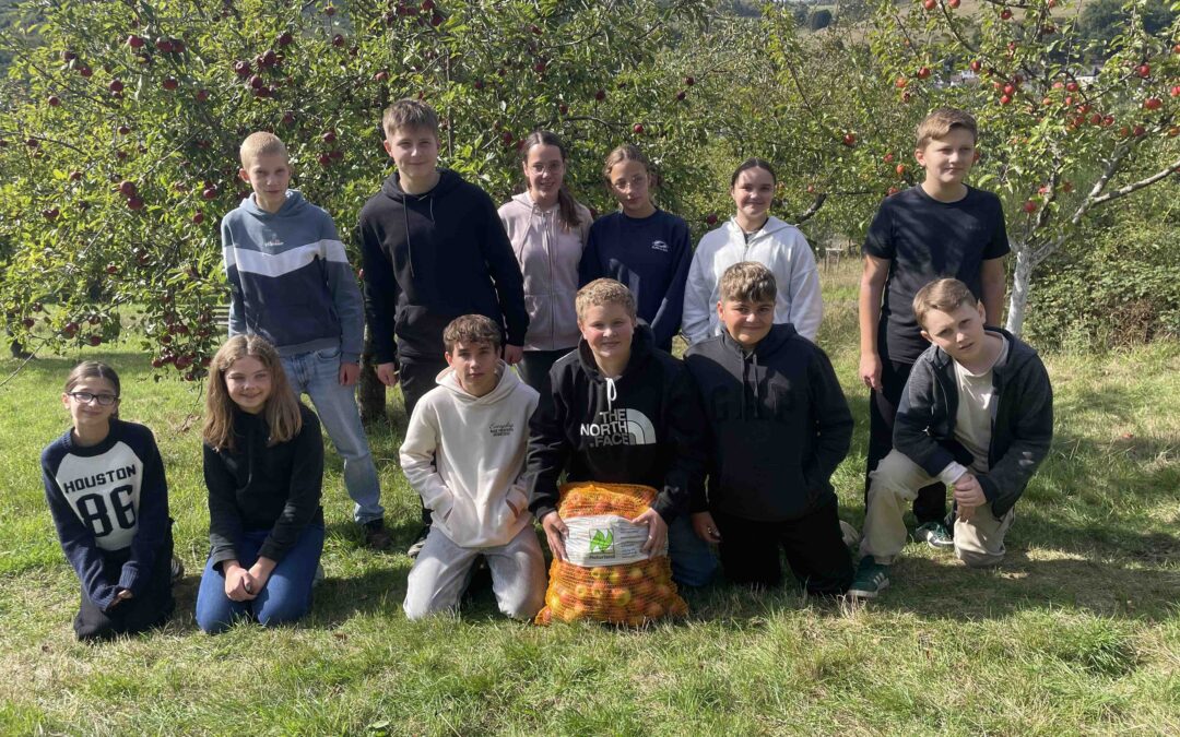Extrem gutes Apfeljahr beschert reiche Ernte beim Apfelfest an der Holderbergschule